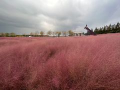 -嘉北郊野公园