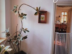 -春风十里咖啡馆