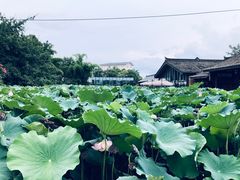 -莫催咖啡
