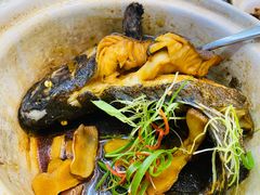 -鑫鸿达·海鲜闽菜热炒小馆(中山路店)