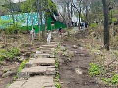 -香炉山国家森林公园