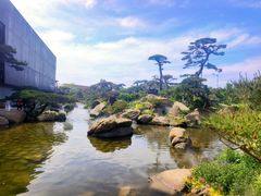 -罗红摄影艺术馆