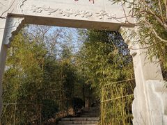 -竹子庵公园