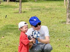 -王借岗森林公园