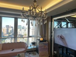 点击看大图 -奕美功能性体态调整·塑型·产后恢复(永利国际店)