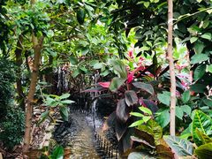 -呀路古热带植物园