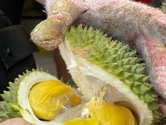 -101 Fresh Fruits Trading