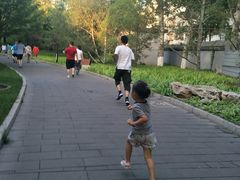 -丰台花园