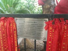 -寿山福海养老服务中心(石景山院)