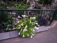 -圣约瑟夫大教堂