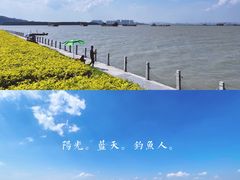 -海鸥岛