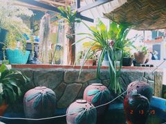 -Jungle Kitchen