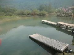 -杨梅坑