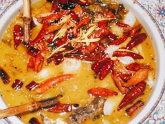 -上上席川菜(凯德乐峰广场店)