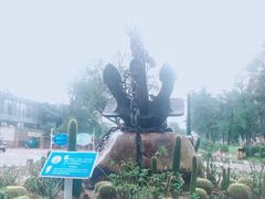 -六鳌翡翠湾滨海度假景区