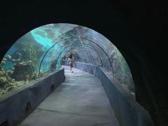 -南昌海洋公园