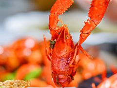 -香满锅老北京羊蝎子火锅·家常菜(新街口店)