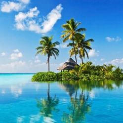 -薇兰专业脱毛连锁机构