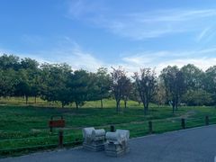 -马家湾湿地公园