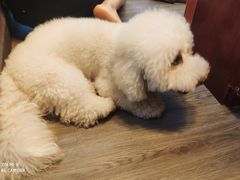 -伽利略剧本探案馆(国贸店)