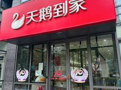 -天鹅到家·保姆月嫂育儿嫂(总店)