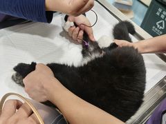 -萌兽医馆·犬猫专科·眼科中心·宠物医院(朝阳门分院)