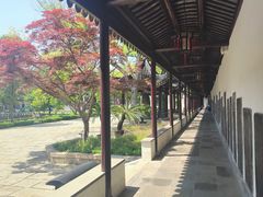 -苏州文庙(姑苏区)