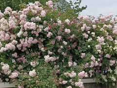 -蜩动儿童运动成长馆(恒生万鹂广场店)