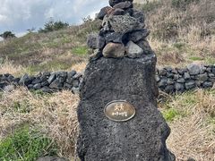 -涉地可支
