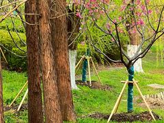 -梁鸿国家湿地公园