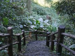 -海口火山口国家地质公园