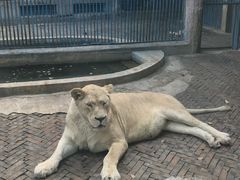 -攀枝花公园