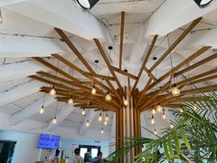 -ChanDu躔度咖啡(灯塔店)