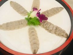 -草鱼先生潮州鱼生·虾生(新厦花园店)