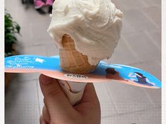 -野人先生现做冰淇淋(西安赛格店)