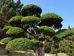 -盆满钵满·国家非遗传承(云台店)