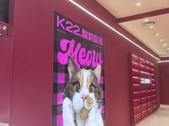 -K22.酸奶草莓(长春上海路万达店)