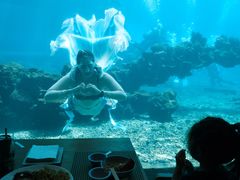 -涛·海底餐厅·美人鱼·自助餐·海底隧道(三亚海棠湾洲际度假酒店)