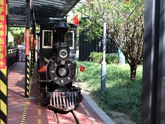 -黄海国家森林公园