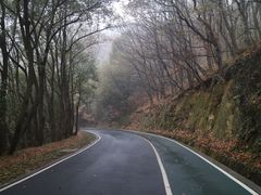 -惠山国家森林公园