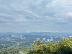-黄埔油麻山森林公园