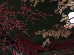 -御池园(顾村公园店)