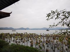 -湖畔居茶楼(湖滨店)