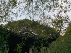 -解香楼(八盘岭路店)