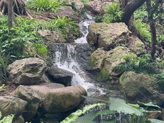 -广州兰圃
