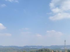 -南宁良凤江国家森林公园