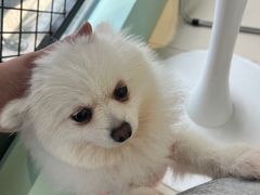 -怪兽屋·羊驼·猫咖·狗咖(俊华广场店)