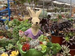 -三圣花乡旅游区