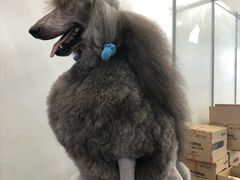 -宁波国际会展中心