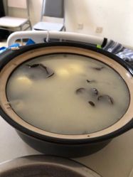 -复旦大学附属妇产科医院(杨浦院区)